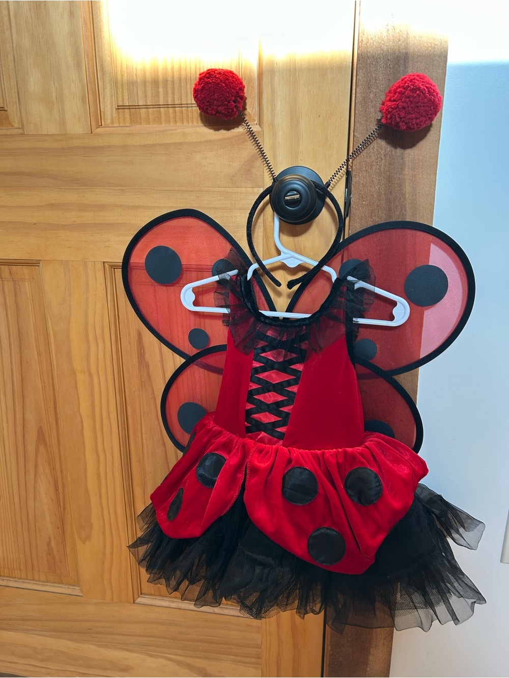 Toddler Girls Lady Bug Halloween Costume. EUC. 2T